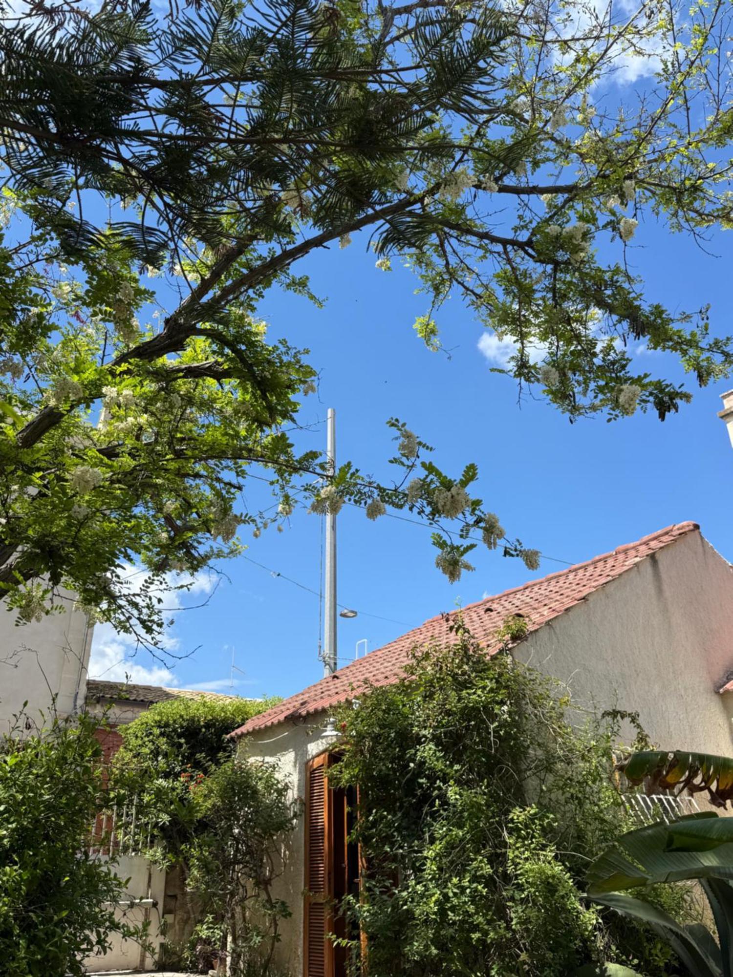 Riviera Sul Mare Holiday home *